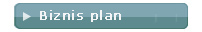 Biznis Plan
